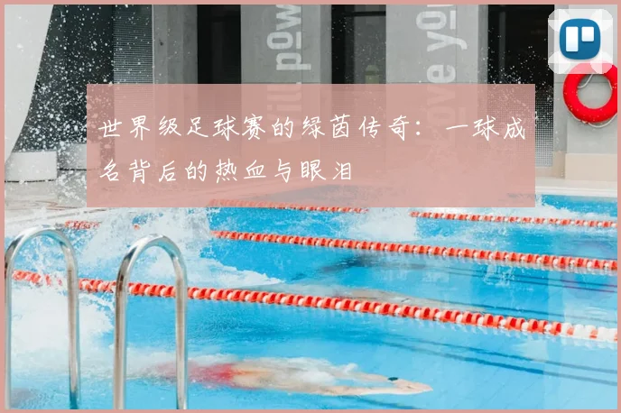 世界级足球赛的绿茵传奇：一球成名背后的热血与眼泪