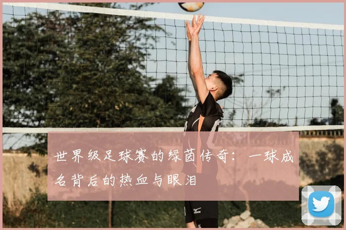 世界级足球赛的绿茵传奇:一球成名背后的热血与眼泪