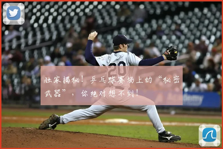 独家揭秘！乒乓球赛场上的“秘密武器”，你绝对想不到！
